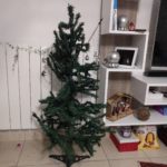 Albero di Natale distrutto dal gatto