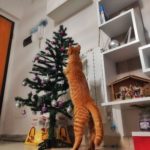 Gatto che si arrampica sull'albero di Natale