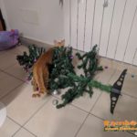 Gatto distrugge albero di Natale