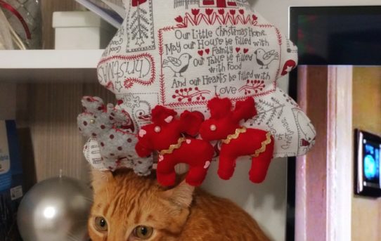 Gatto albero di Natale di stoffa